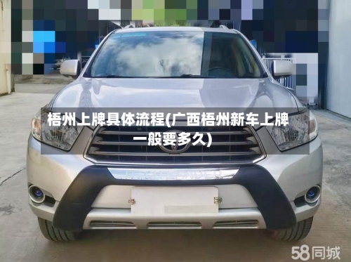 梧州上牌具体流程(广西梧州新车上牌一般要多久)-第3张图片
