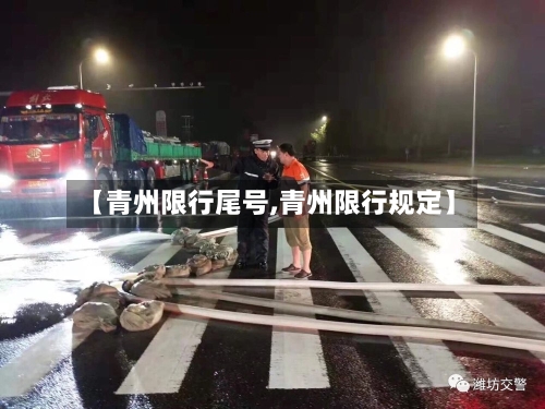 【青州限行尾号,青州限行规定】-第3张图片