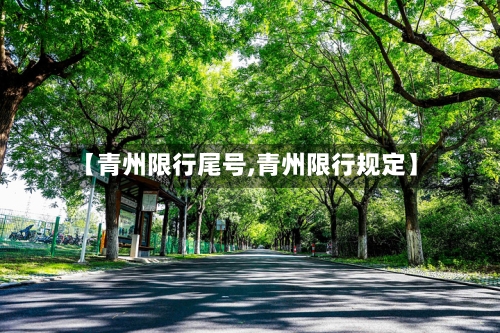 【青州限行尾号,青州限行规定】-第2张图片