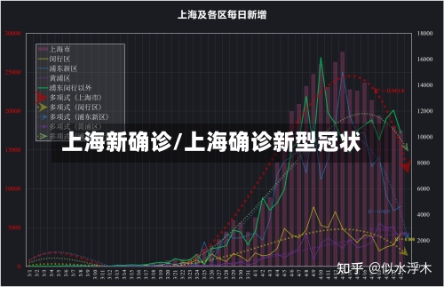 上海新确诊/上海确诊新型冠状-第3张图片