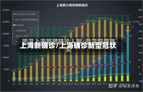 上海新确诊/上海确诊新型冠状-第2张图片