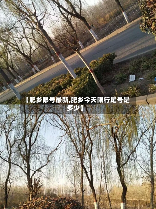 【肥乡限号最新,肥乡今天限行尾号是多少】-第3张图片