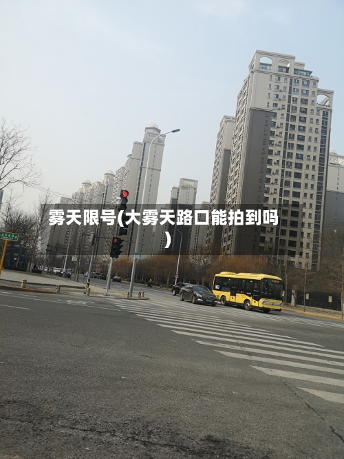 雾天限号(大雾天路口能拍到吗)