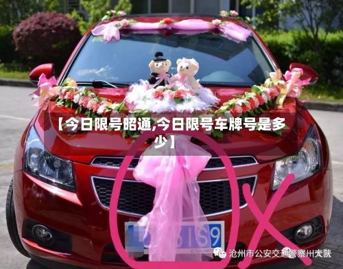 【今日限号昭通,今日限号车牌号是多少】-第3张图片