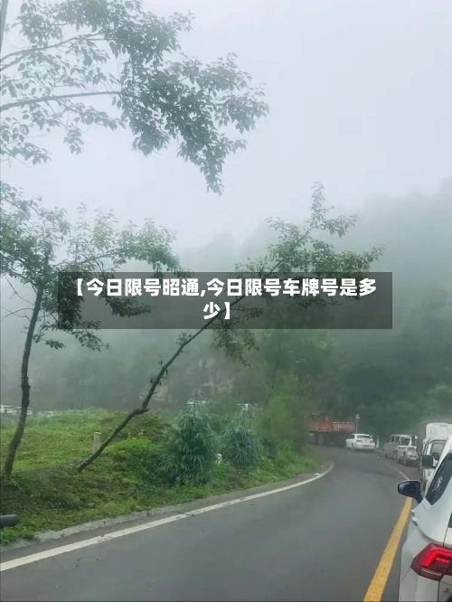 【今日限号昭通,今日限号车牌号是多少】-第2张图片