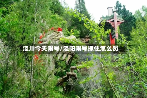 泾川今天限号/泾阳限号抓住怎么罚-第2张图片
