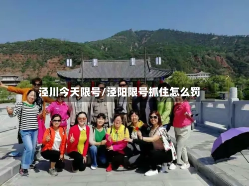 泾川今天限号/泾阳限号抓住怎么罚