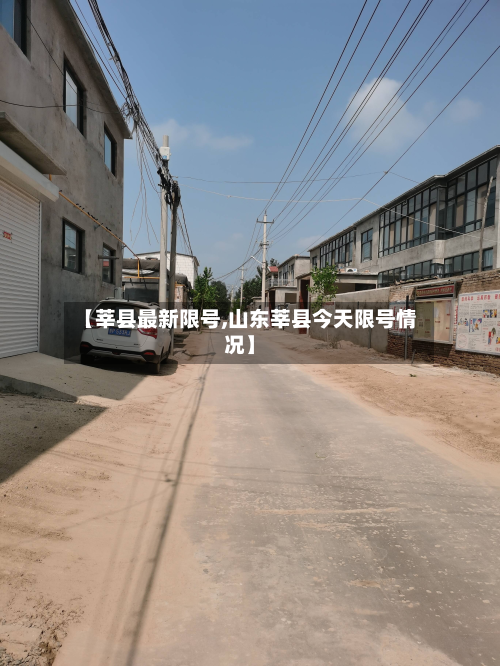 【莘县最新限号,山东莘县今天限号情况】