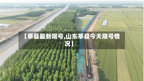 【莘县最新限号,山东莘县今天限号情况】-第2张图片