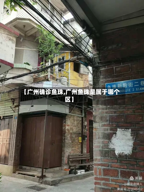 【广州确诊鱼珠,广州鱼珠是属于哪个区】-第2张图片