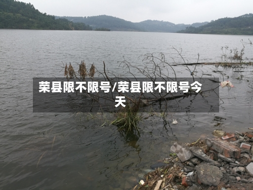 荣县限不限号/荣县限不限号今天-第2张图片