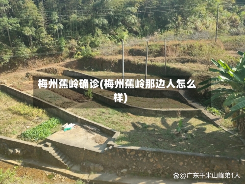 梅州蕉岭确诊(梅州蕉岭那边人怎么样)-第2张图片