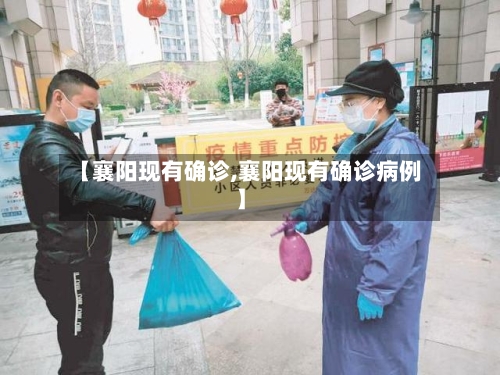 【襄阳现有确诊,襄阳现有确诊病例】-第2张图片