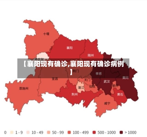 【襄阳现有确诊,襄阳现有确诊病例】-第3张图片