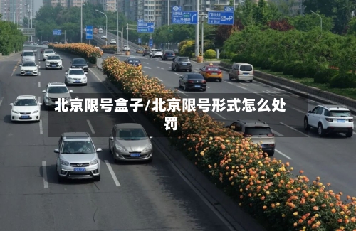 北京限号盒子/北京限号形式怎么处罚-第2张图片