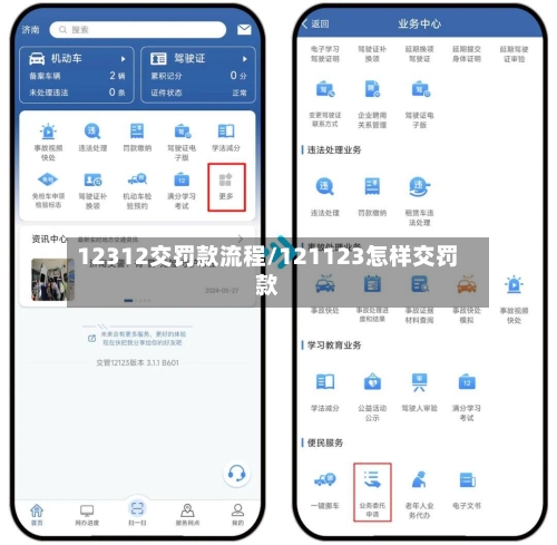 12312交罚款流程/121123怎样交罚款