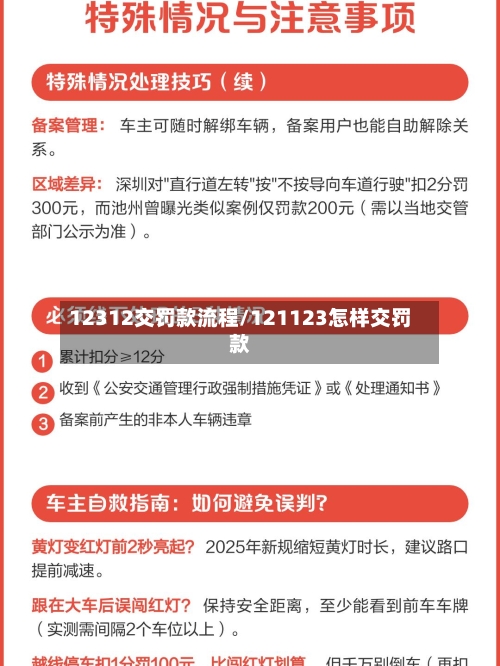 12312交罚款流程/121123怎样交罚款-第3张图片