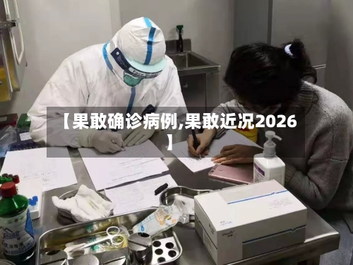 【果敢确诊病例,果敢近况2026】-第3张图片