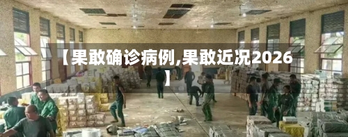 【果敢确诊病例,果敢近况2026】-第2张图片