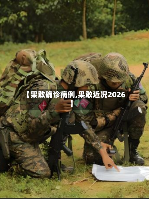 【果敢确诊病例,果敢近况2026】