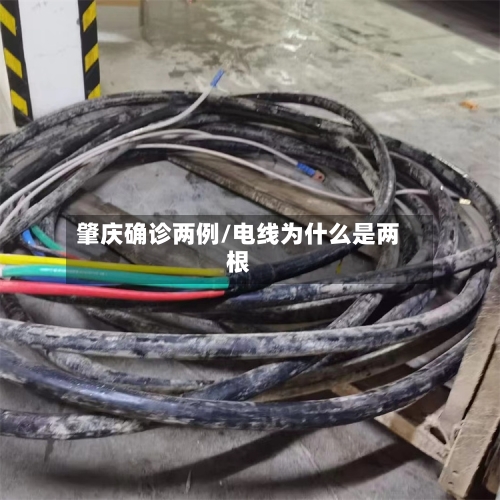 肇庆确诊两例/电线为什么是两根