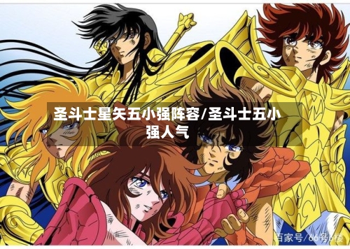 圣斗士星矢五小强阵容/圣斗士五小强人气-第2张图片