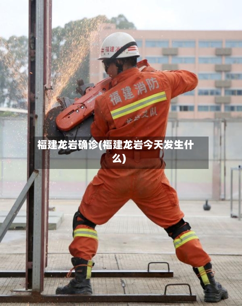 福建龙岩确诊(福建龙岩今天发生什么)-第2张图片