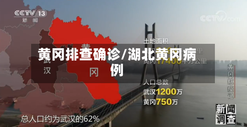 黄冈排查确诊/湖北黄冈病例
