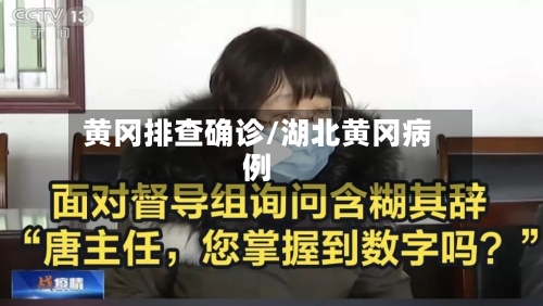 黄冈排查确诊/湖北黄冈病例-第2张图片