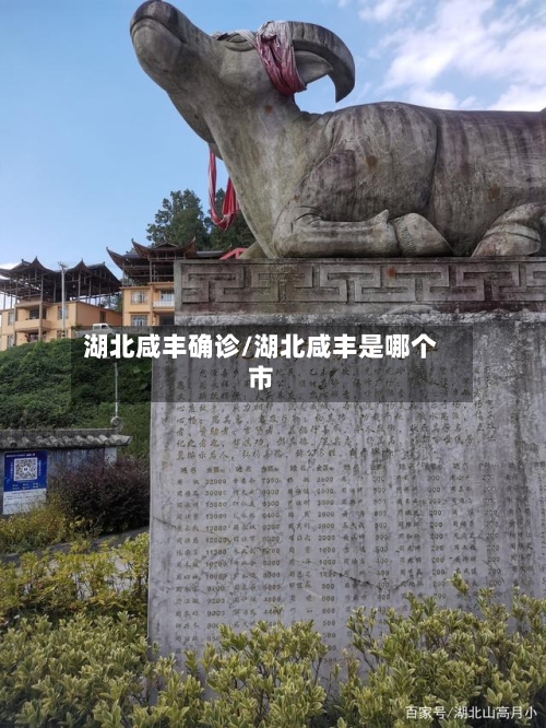 湖北咸丰确诊/湖北咸丰是哪个市-第2张图片
