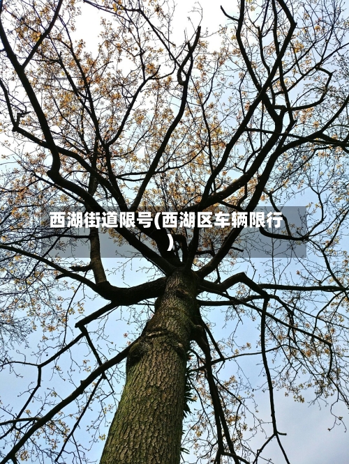 西湖街道限号(西湖区车辆限行)-第3张图片