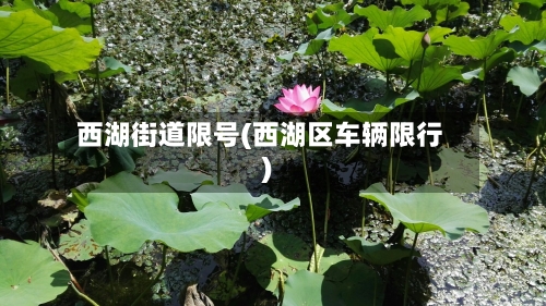 西湖街道限号(西湖区车辆限行)-第2张图片