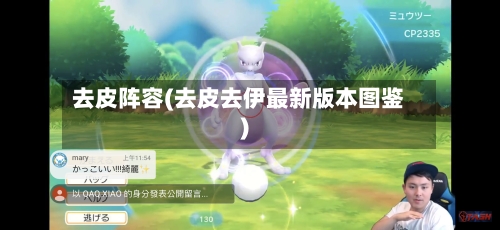去皮阵容(去皮去伊最新版本图鉴)