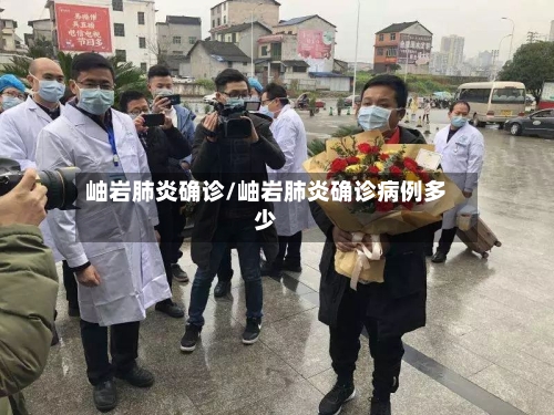 岫岩肺炎确诊/岫岩肺炎确诊病例多少-第3张图片