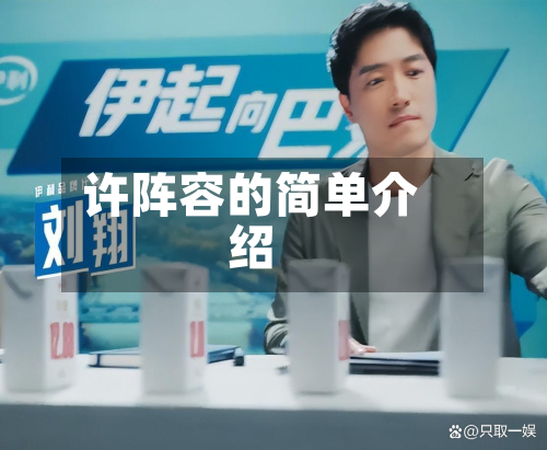 许阵容的简单介绍