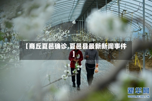 【商丘夏邑确诊,夏邑县最新新闻事件】