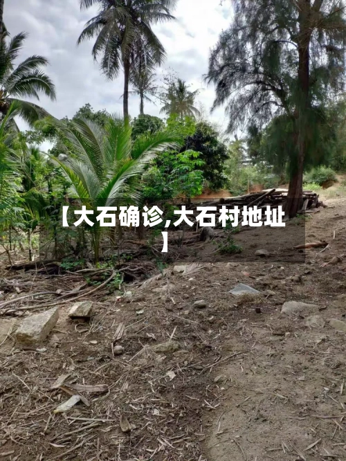 【大石确诊,大石村地址】-第2张图片