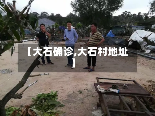 【大石确诊,大石村地址】
