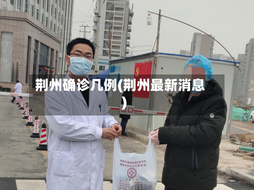 荆州确诊几例(荆州最新消息)-第2张图片