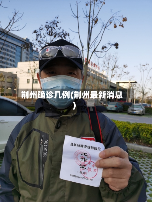 荆州确诊几例(荆州最新消息)-第3张图片