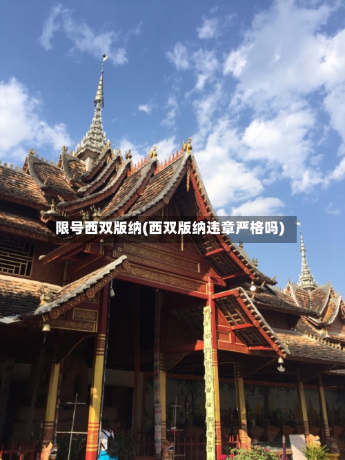 限号西双版纳(西双版纳违章严格吗)