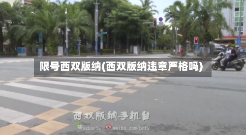 限号西双版纳(西双版纳违章严格吗)-第2张图片