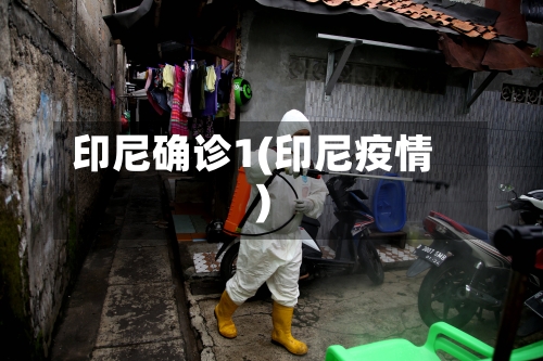 印尼确诊1(印尼疫情)