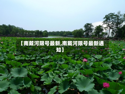 【南戴河限号最新,南戴河限号最新通知】