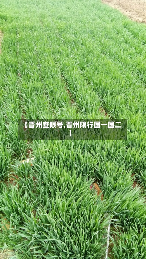 【晋州查限号,晋州限行国一国二】