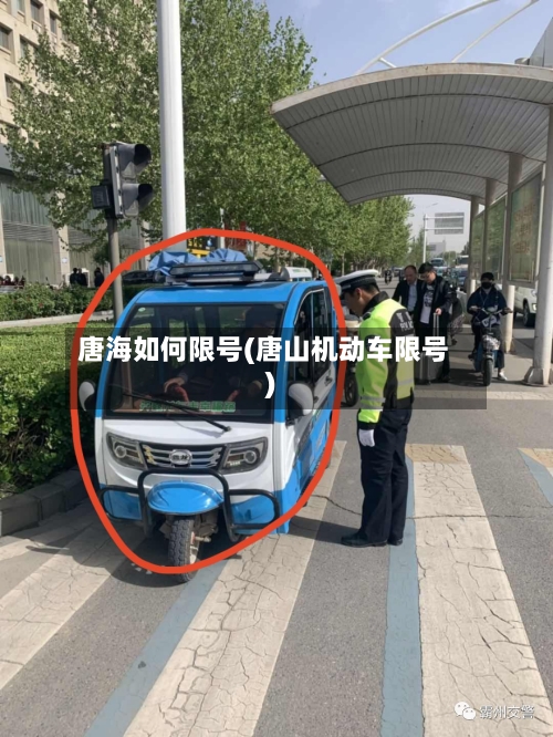 唐海如何限号(唐山机动车限号)-第2张图片