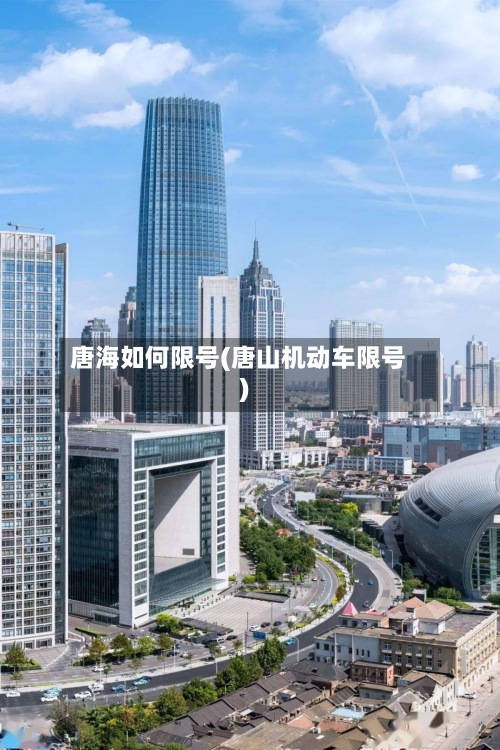 唐海如何限号(唐山机动车限号)-第3张图片