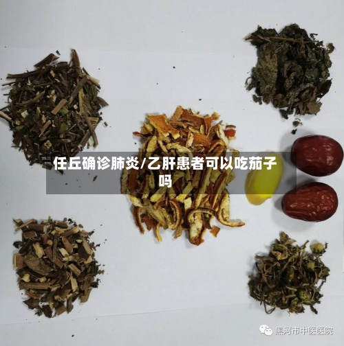 任丘确诊肺炎/乙肝患者可以吃茄子吗-第2张图片