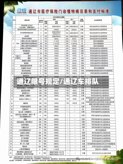 通辽限号规定/通辽车排队