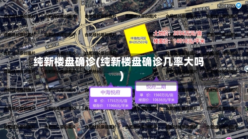 纯新楼盘确诊(纯新楼盘确诊几率大吗)